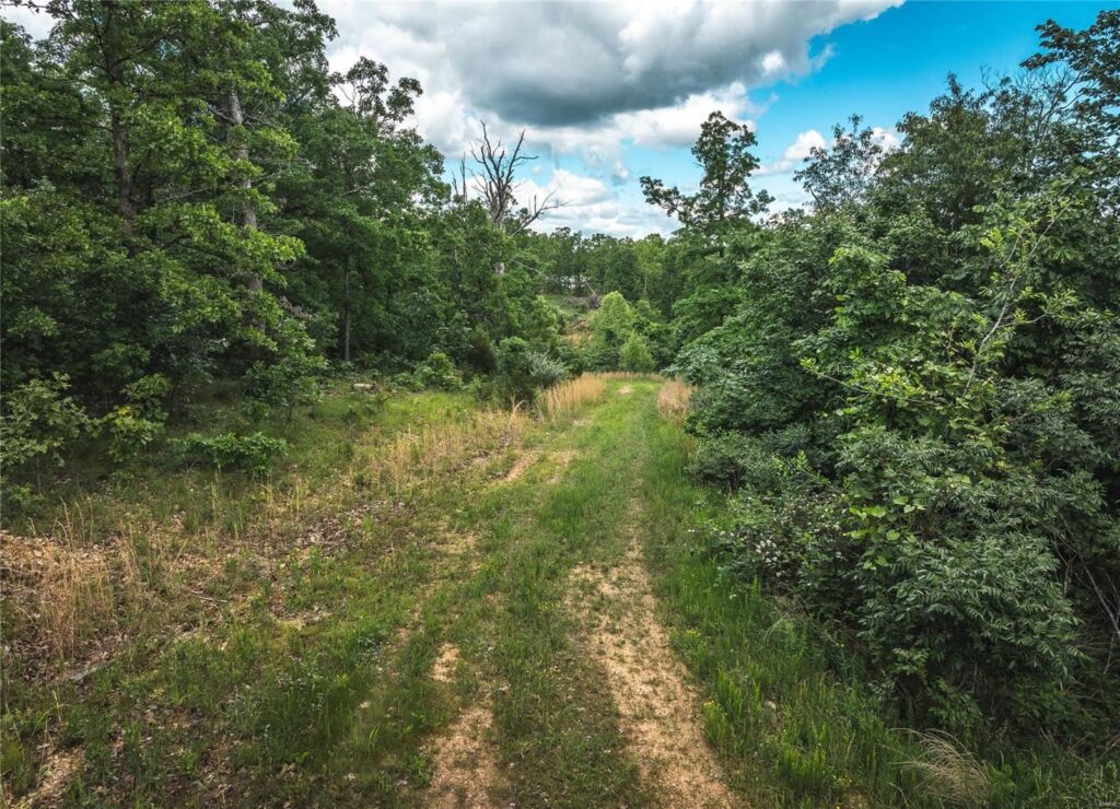 40 Acres 23 40 Acres 1024x740