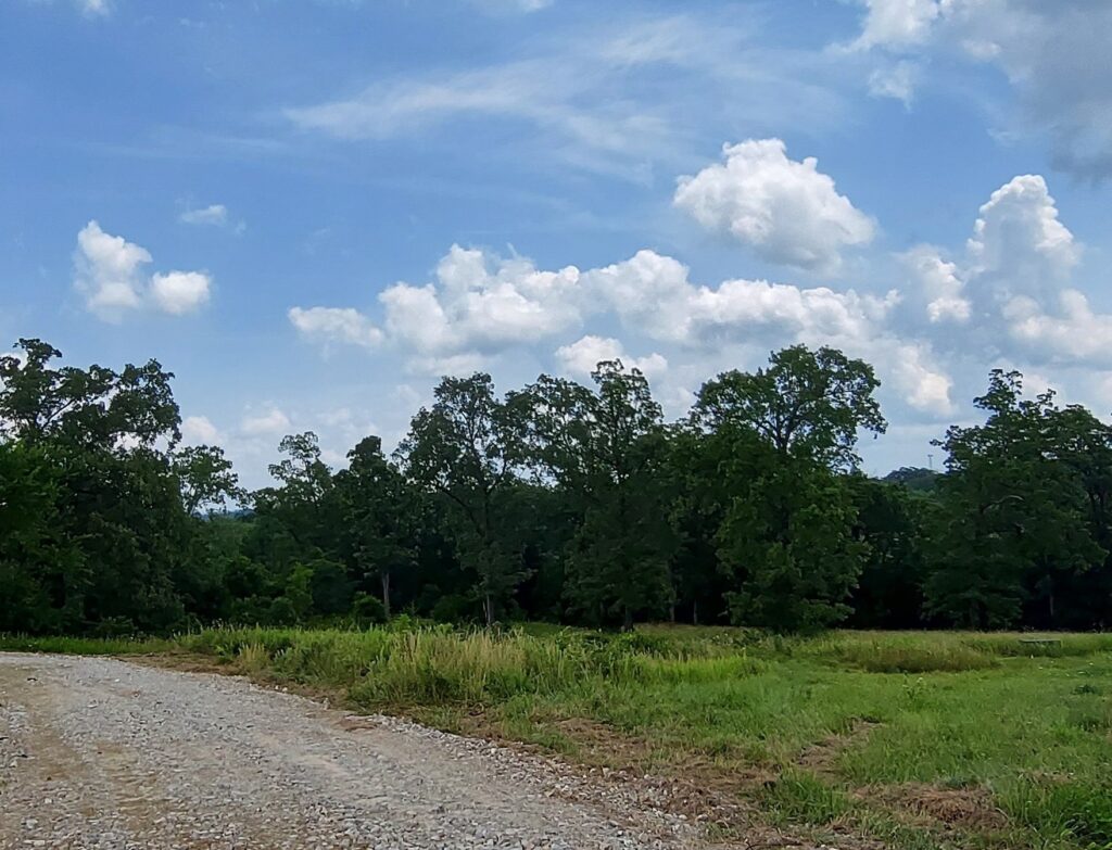 gravel driveway entrance east side of property